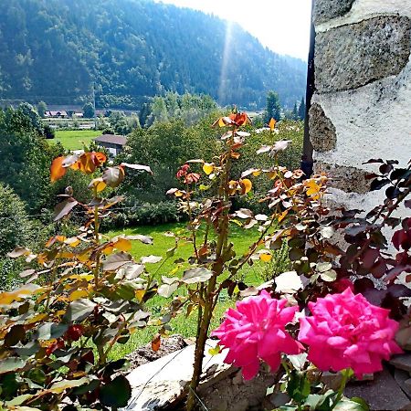 Cjasa Da Puci Appartement Ovaro Buitenkant foto