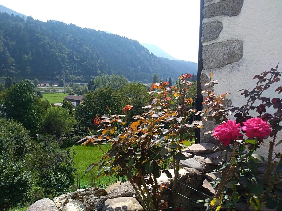 Cjasa Da Puci Appartement Ovaro Buitenkant foto
