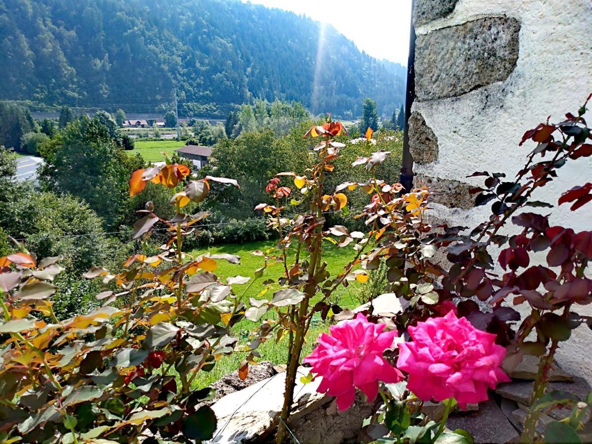 Cjasa Da Puci Appartement Ovaro Buitenkant foto