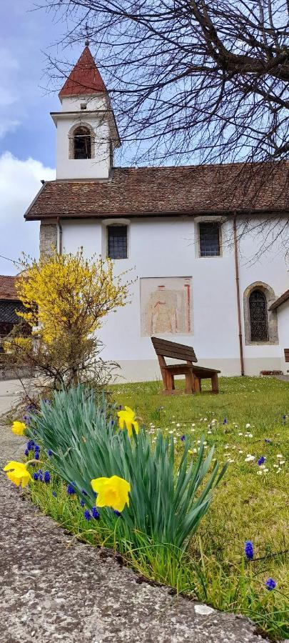 Cjasa Da Puci Appartement Ovaro Buitenkant foto