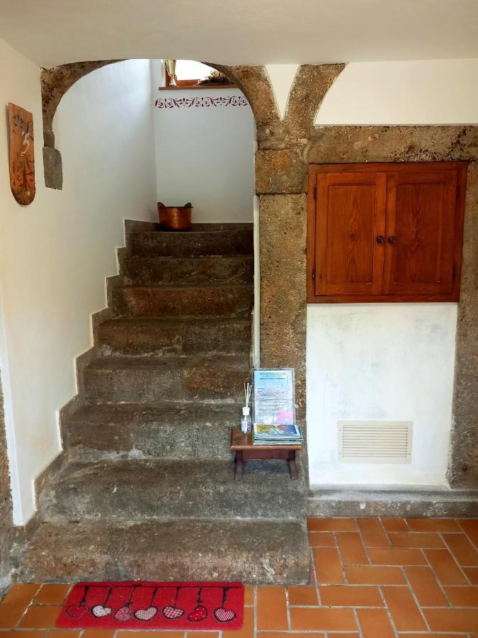 Cjasa Da Puci Appartement Ovaro Buitenkant foto