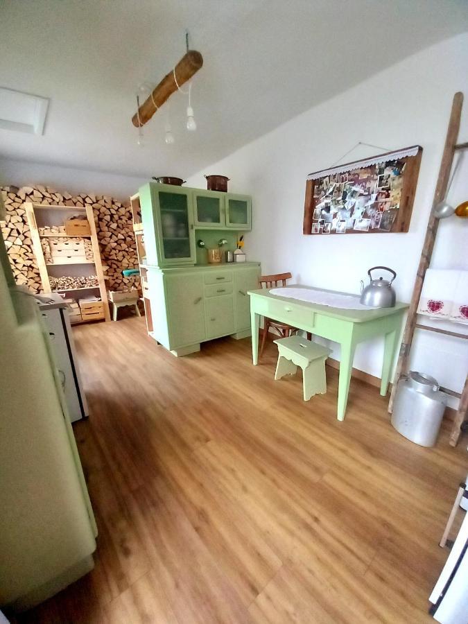Cjasa Da Puci Appartement Ovaro Buitenkant foto